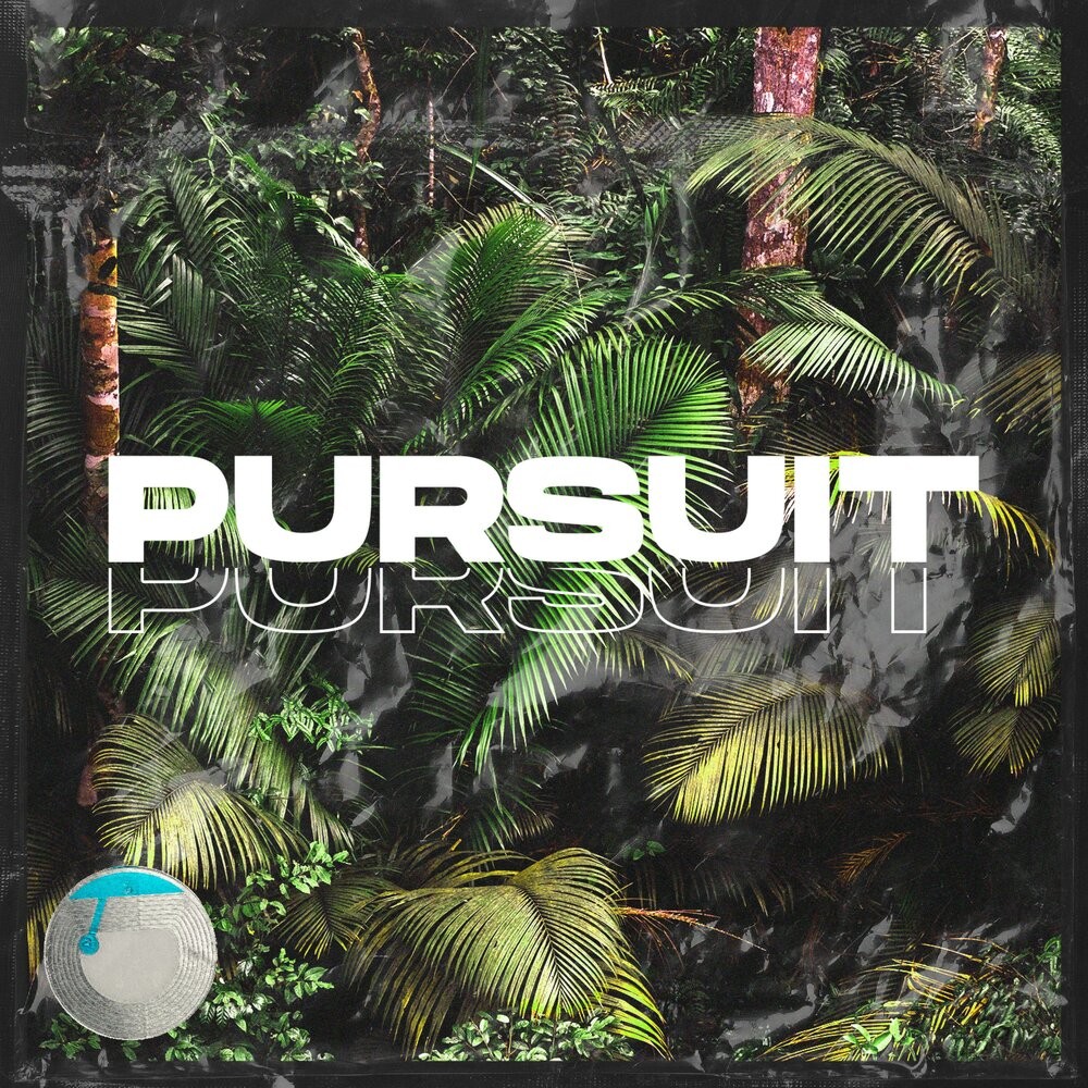 Pursuit