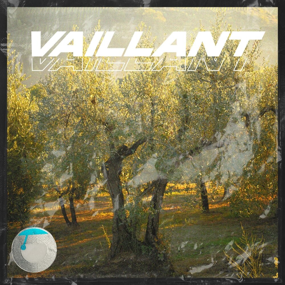 Vaillant